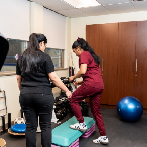 balance-and-gait-disorders-MeadowLife-Physiotherapy-and-Active-Rehab-Centre-Pitt-Meadows-BC-500x500