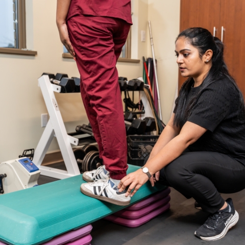 vestibular-therapy-MeadowLife-Physiotherapy-and-Active-Rehab-Centre-Pitt-Meadows-BC-500x500